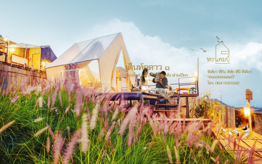 เต็นท์ดูดาว