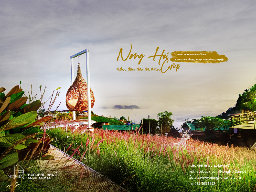 หนองหอยแคมป์