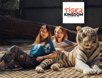 Tiger Kingdom – คุ้มเสือ